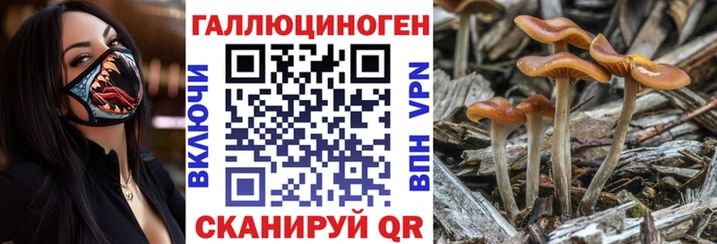 Галлюциногенные грибы GOLDEN TEACHER  кракен зеркало  Бавлы  купить наркотик 